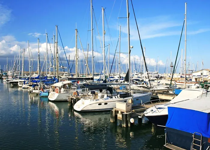 Mimi's Sunny * Ларнака